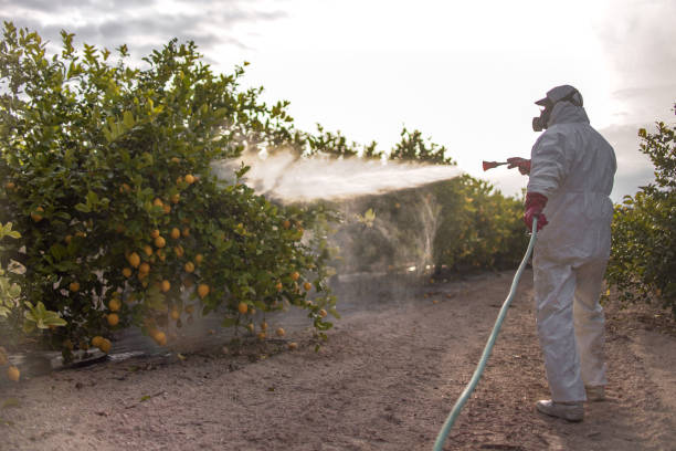 Best Best Pest Control Companies  in Berryville, TX