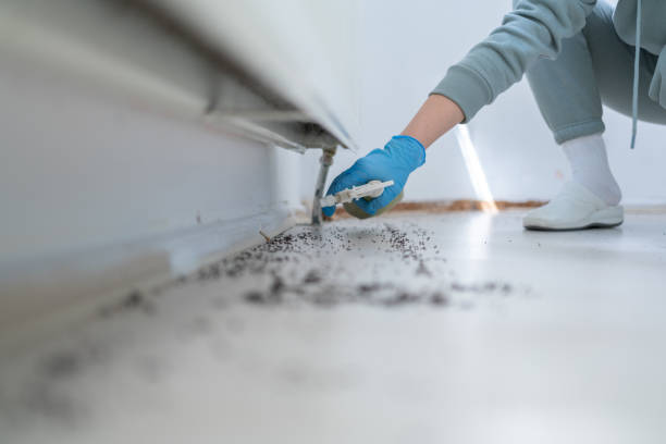 Best Wasp Removal Services  in Berryville, TX